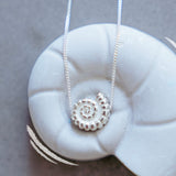 mini ammonite - שרשרת כסף 925 אמונייט image 1