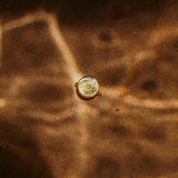 GOLD AMMONITE  9K - טבעת זהב אמונייט image 0