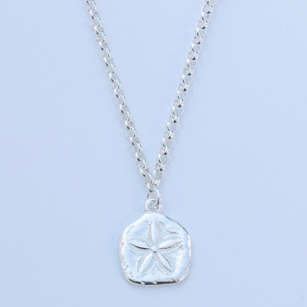 sand dollar #25 - שרשרת כסף 925 חוליות תליון סנד דולר  image 1