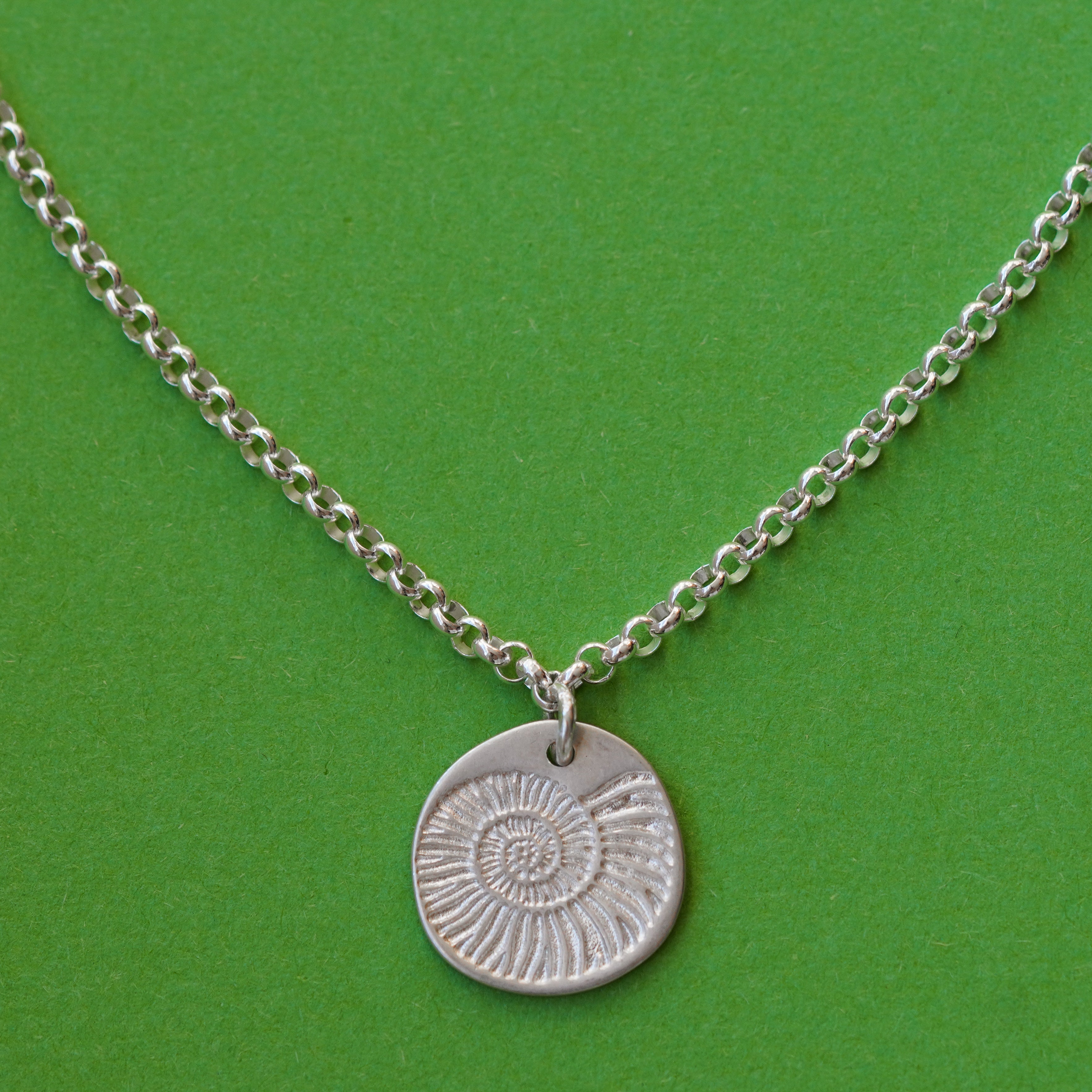 Ammonite - שרשרת כסף חוליות תליון אמונייט image 0