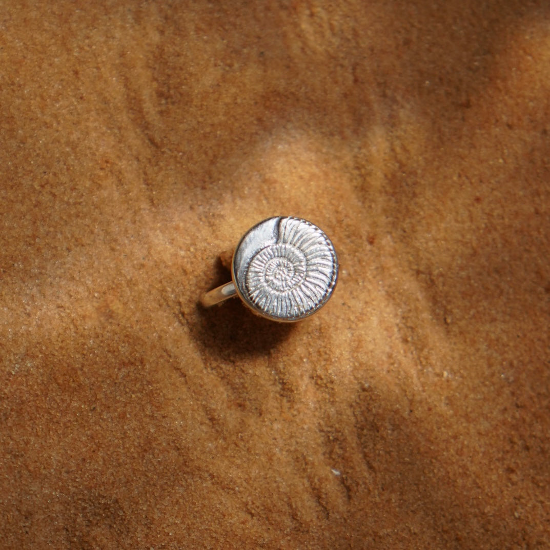 SILVR AMMONITE - טבעת כסף 925 אמונייט image 0