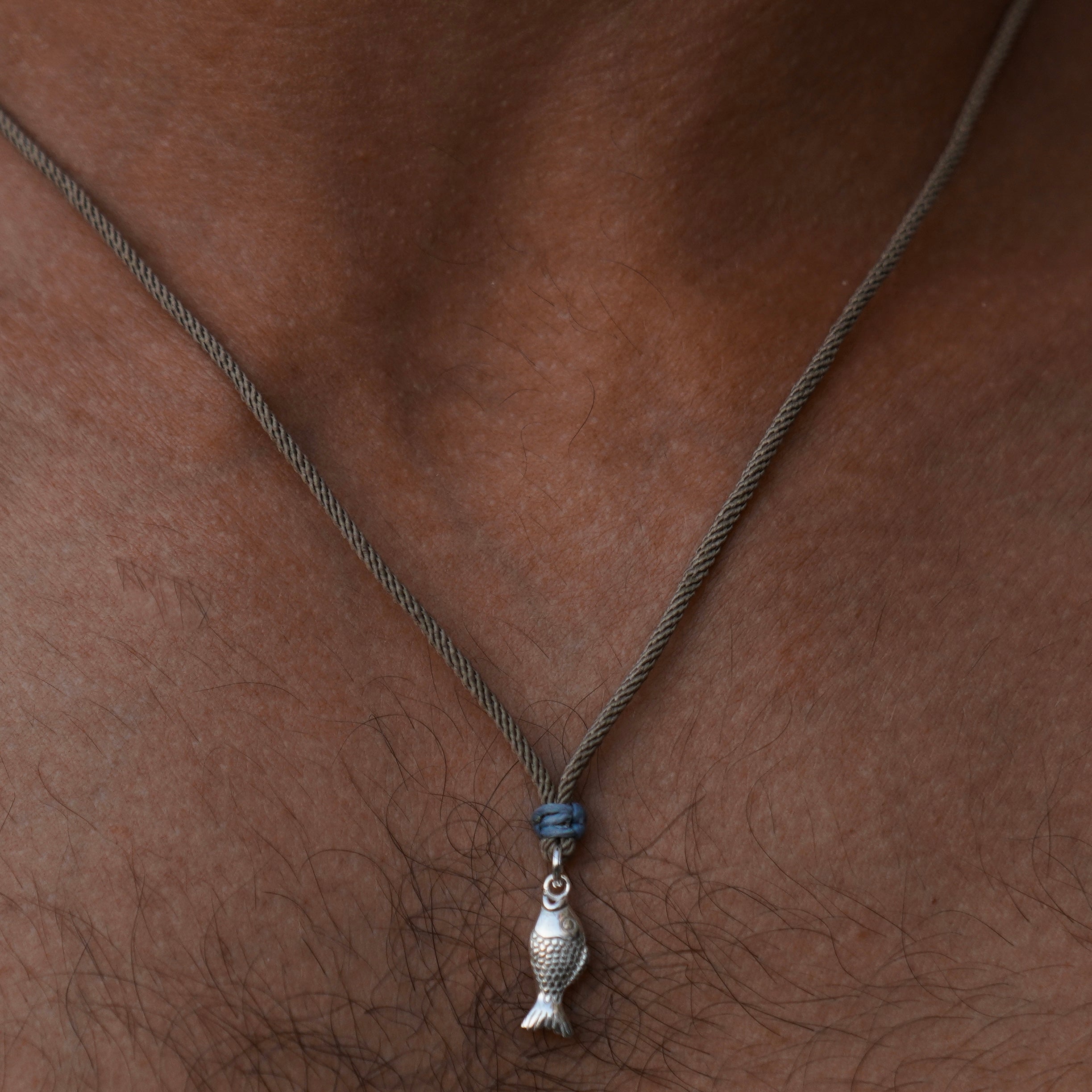 Blue fish - דג כחול image 1
