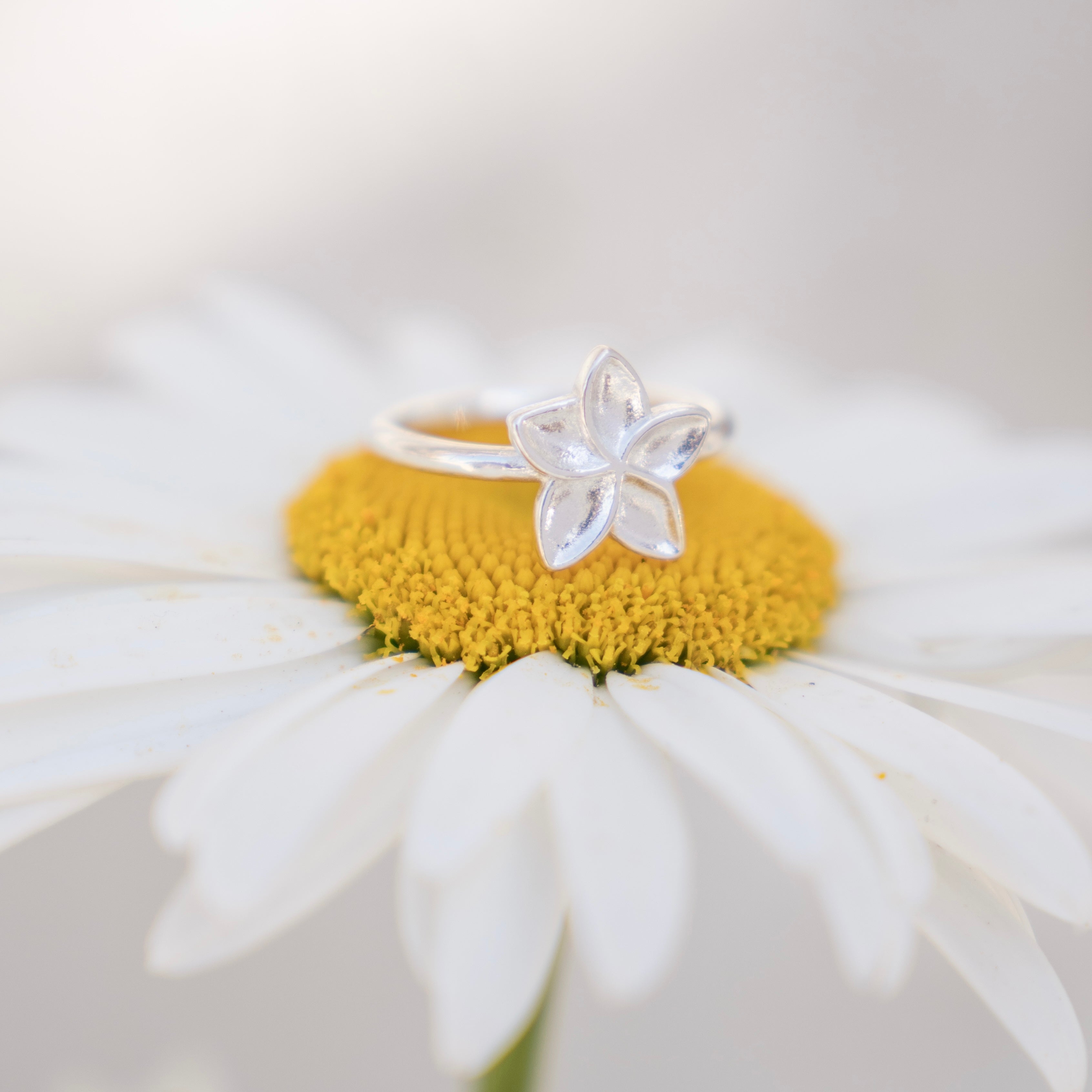 Baby flower - טבעת כסף 925 פרח פלומריה image 0