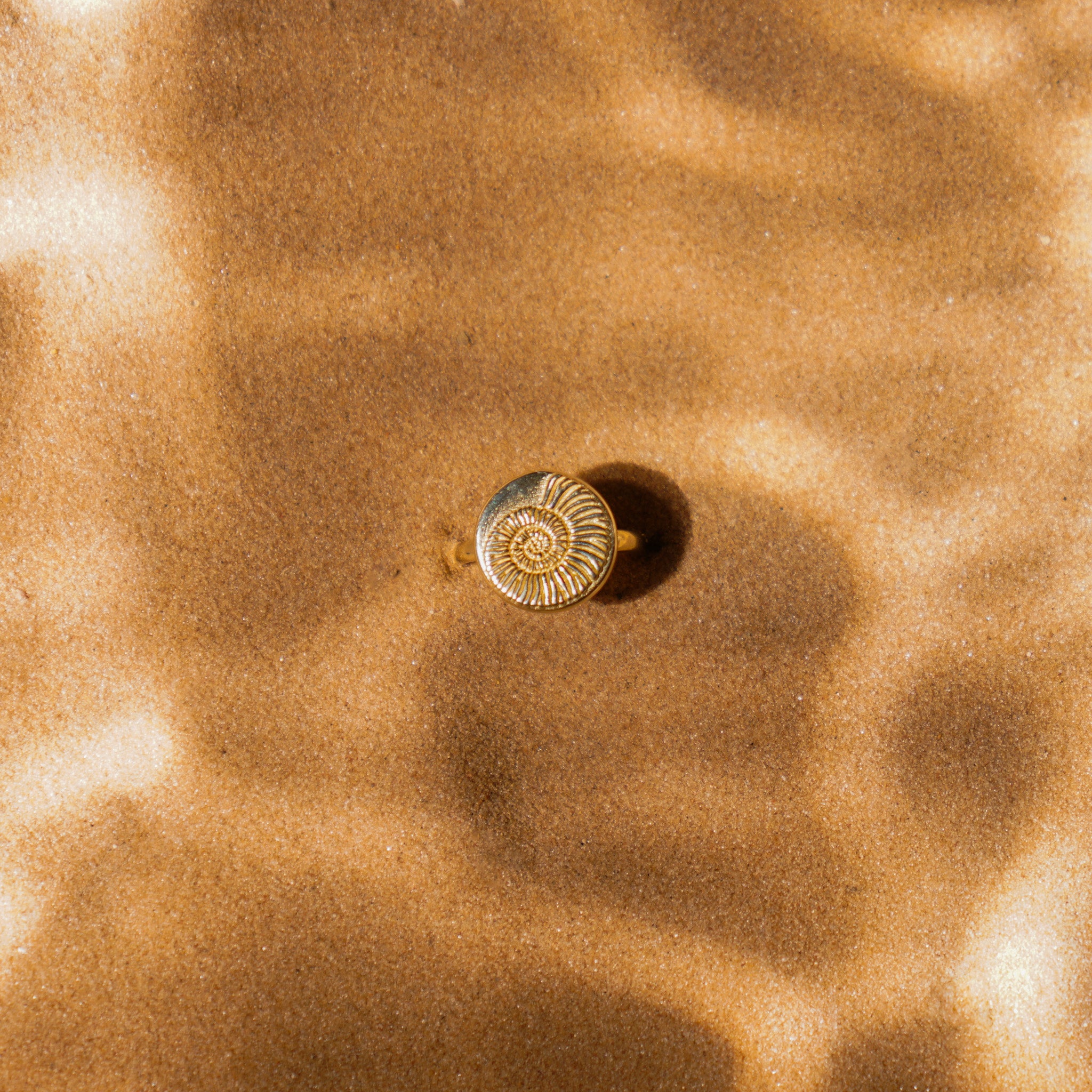 GOLD AMMONITE  9K - טבעת זהב אמונייט image 2
