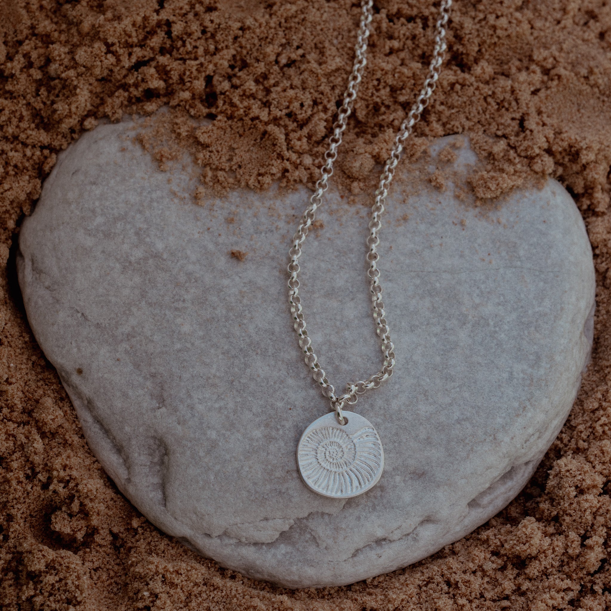 Ammonite - שרשרת כסף חוליות תליון אמונייט image 3