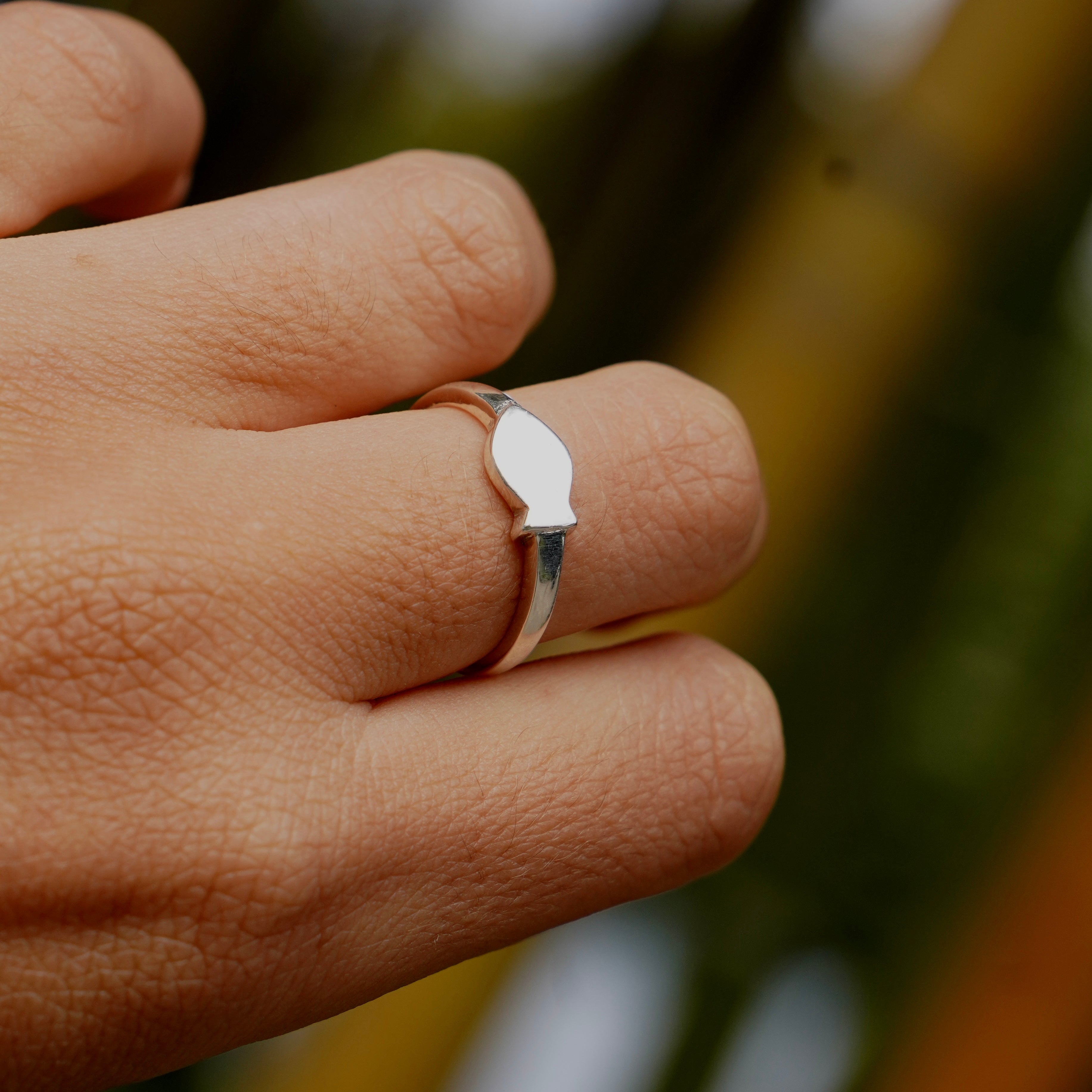 טבעת דג - fish ring image 2