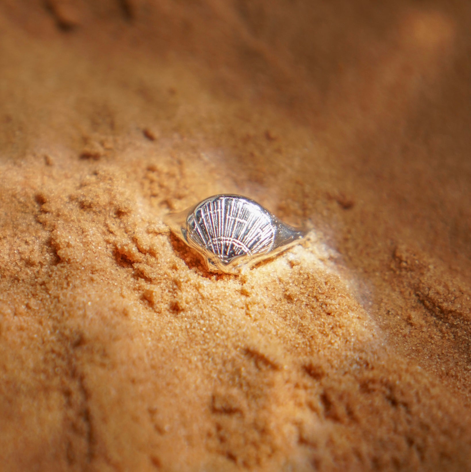 DENIES SHELL - טבעת כסף 925 צדף  image 0