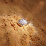 DENIES SHELL - טבעת כסף 925 צדף  image 0