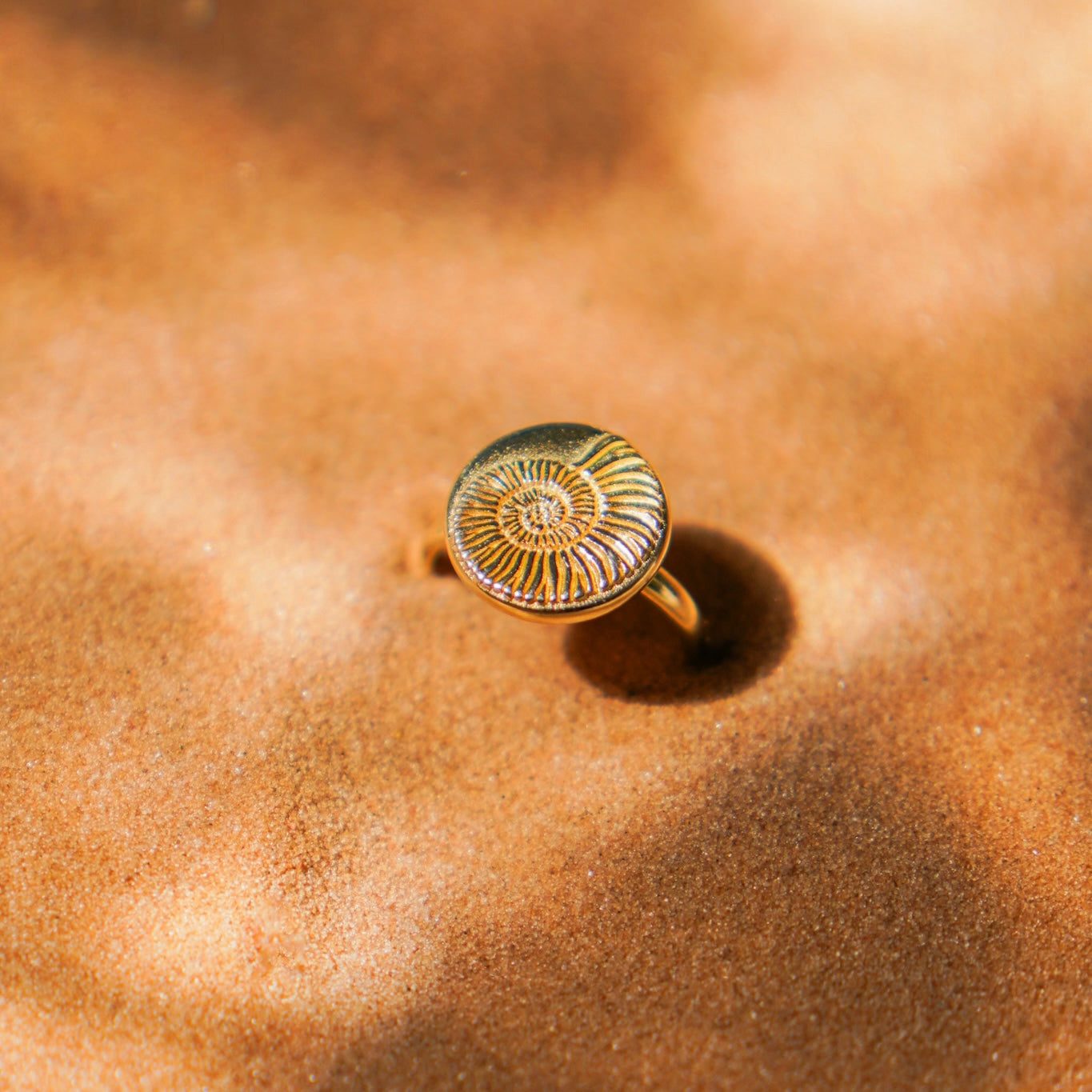 GOLD AMMONITE  9K - טבעת זהב אמונייט image 3