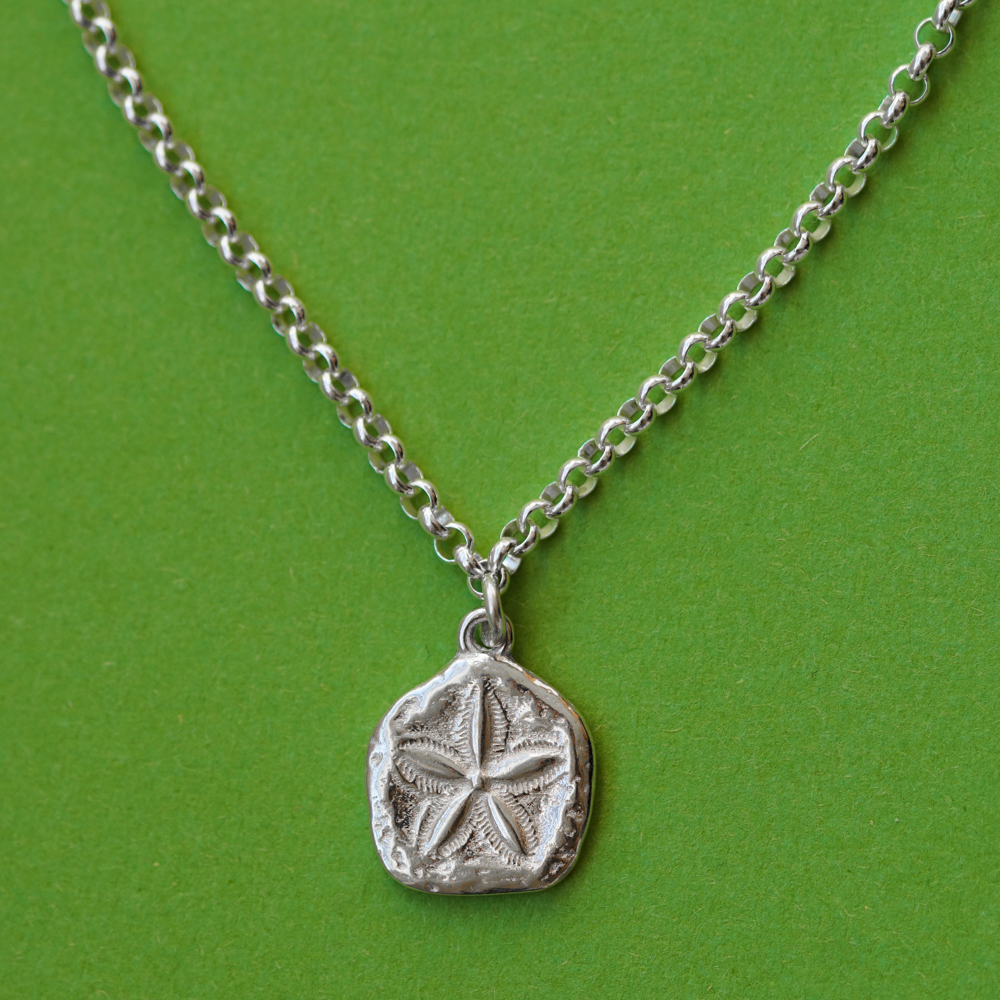 sand dollar #25 - שרשרת כסף 925 חוליות תליון סנד דולר  image 0