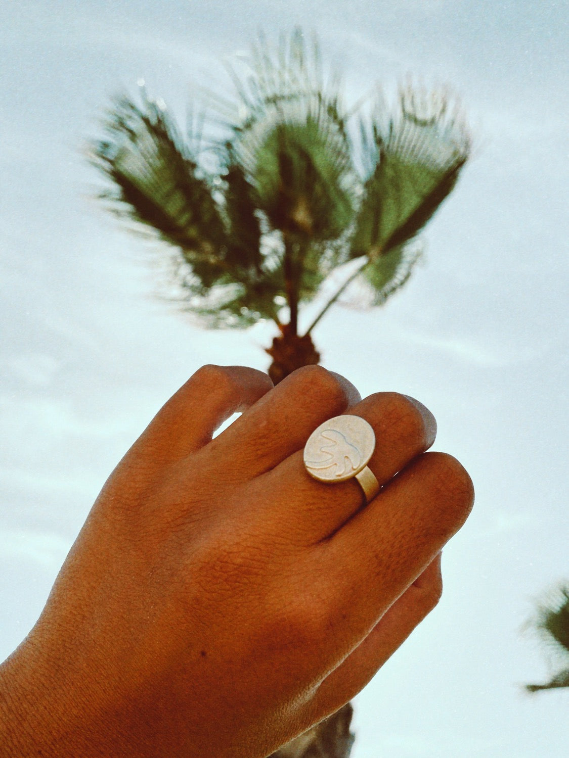 palm tree - טבעת עץ דקל image 1